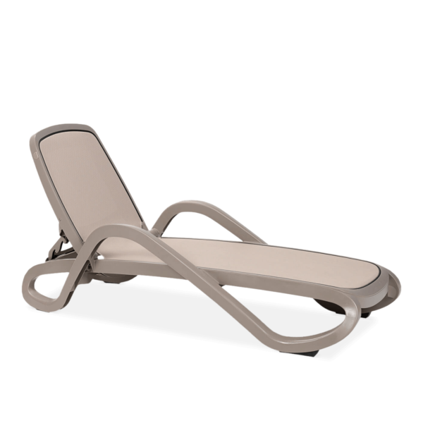 ALFA LEŻAK TORTORA TORTORA