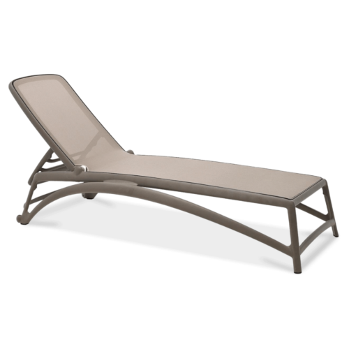 ATLANTICO LEŻAK TORTORA TORTORA